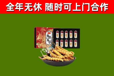 会泽县烟酒回收冬虫夏草礼盒.jpg